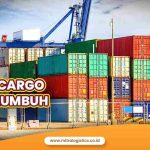 Jasa Cargo Payakumbuh