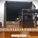 Ekspedisi Surabaya Ambon Murah