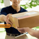 Jasa pengiriman barang murah Jakarta ke Maluku