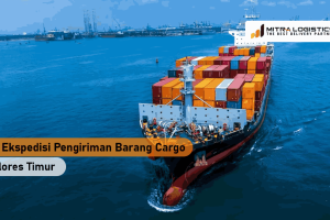 Ekspedisi Cargo ke Flores Timur