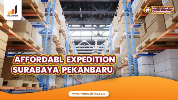 affordable expedition Surabaya Pekanbaru