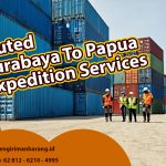 Trusted Surabaya to Papua expedition services