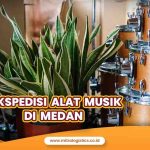 Ekspedisi Alat Musik di Medan