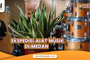 Ekspedisi Alat Musik di Medan
