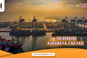Ekspedisi Surabaya Fakfak