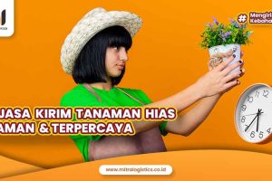 Jasa Kirim Tanaman Hias Aman dan Terpercaya