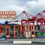 Jasa Ekspedisi Cargo Bintuni