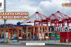 Jasa Ekspedisi Cargo Bintuni