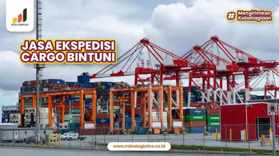 Jasa Ekspedisi Cargo Bintuni