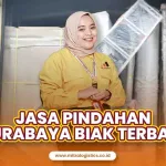 Jasa Pindahan Surabaya Biak Terbaik