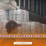 Jasa Pindahan Surabaya ke Nabire