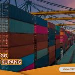 Cargo Jakarta Kupang Dengan Tim Professional