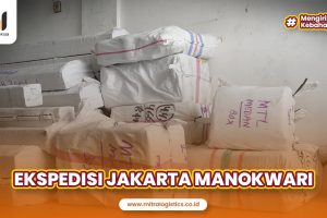 Ekspedisi Jakarta Manokwari Terpercaya