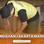 Jasa Pindahan Jakarta Manokwari