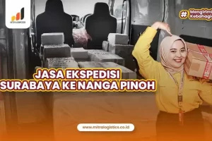 Jasa Ekspedisi Surabaya ke Nanga Pinoh