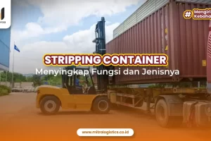 Stripping Container : Menyingkap Fungsi dan Jenisnya