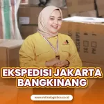 Ekspedisi Jakarta Bangkinang