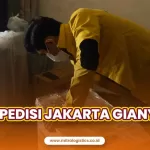 Ekspedisi Jakarta Gianyar Terbaik