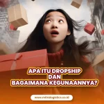 Apa Itu Dropship dan Kegunaannya?