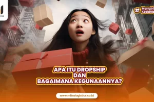 Apa Itu Dropship dan Kegunaannya?