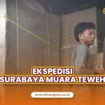 Ekspedisi Surabaya Muara Teweh