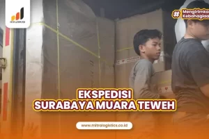 Ekspedisi Surabaya Muara Teweh