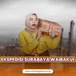 Jasa Ekspedisi Surabaya Waibakul Tarif Mulai dari Rp11.000/kg