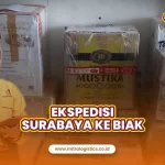 Jasa Ekspedisi Surabaya ke Biak Terbaik