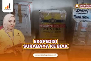 Jasa Ekspedisi Surabaya Biak Terbaik