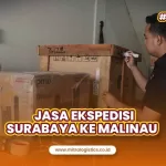 Ekspedisi Surabaya Malinau Layanan Paling Memukau