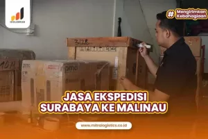 Ekspedisi Surabaya Malinau Layanan Paling Memukau