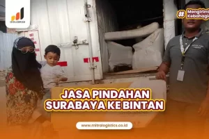 Jasa Pindahan Surabaya ke Bintan Cepat dan Aman