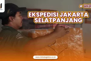 Ekspedisi Jakarta Selatpanjang