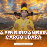 Jasa Pengiriman Barang Cargo Udara