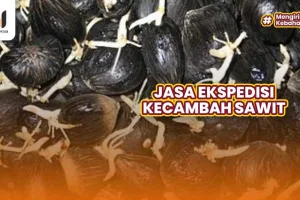 Jasa Ekspedisi Kecambah Sawit Paling Aman