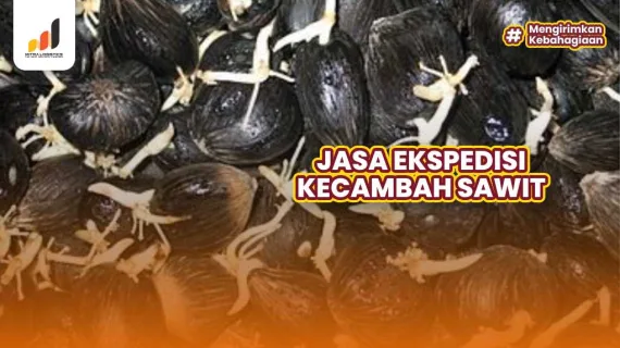 Jasa Ekspedisi Kecambah Sawit Paling Aman