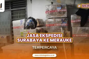 Jasa Ekspedisi Surabaya Merauke